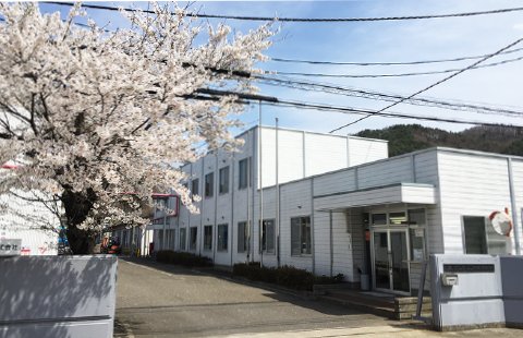サンケミファ株式会社の社屋と桜